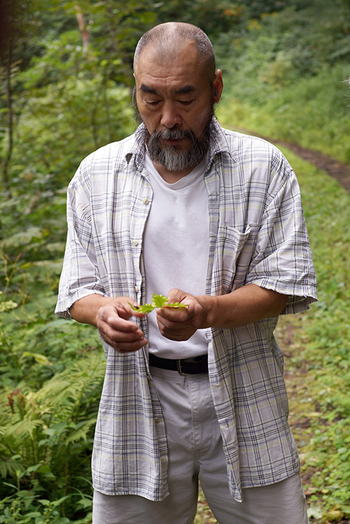 食用植物に精通していた岸先生